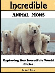 Animal Moms pic